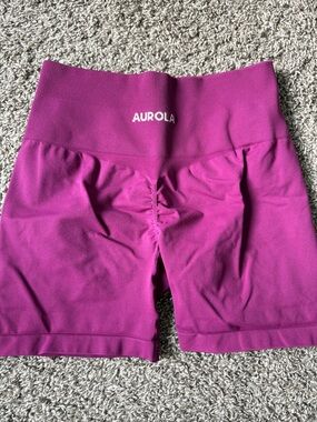 Aurola Workout Shorts